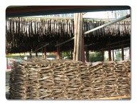 강릉역 앞 연세병원 옆 금진항대게 직영점 - 등업신청 - 강릉시배드민턴협회 강릉역 앞 연세병원 옆 금진항대게 직영점