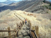 백두대간남진35구간(중재-복성이재) - 백두대간종주 - 레스비의 산 이야기 백두대간남진35구간(중재-복성이재)