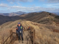 백두대간남진35구간(중재-복성이재) - 백두대간종주 - 레스비의 산 이야기 백두대간남진35구간(중재-복성이재)