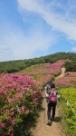 신어산 ~동봉 다녀왔습니다 - ***☆..정기산행앨범방..☆ - 김해 행복한 산악회 신어산 ~동봉 다녀왔습니다