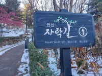 시산회 450회 안산자락길 산행기＜2022.12.25(일)＞ - 산행관련 자료 - 광주동중13회동창회 