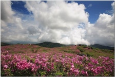 일림산 - 만주벌판 산행사진 링크 1 - 만주벌판 산행 사진 만주벌판 산행 사진