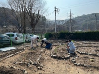 20260323_퍼머컬쳐절기살이:감자심기외 - 유학생2026그루(17기) - 소호산촌농촌유학센터 20260323_퍼머컬쳐절기살이:감자심기외