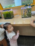 🐢가람 자연생태학습체험 - 우리원 견학,체험,행사모음 - 국공립 멜리오어린이집 🐢가람 자연생태학습체험