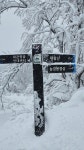 대관령 제왕산 - 일반산행 사진 - 서부천 산악회 대관령 제왕산