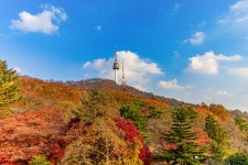 옥산자동차공업사주 | 새로운 남산 하늘숲길 - 풍경 사진방 - 옥수산장철학관 사주역학강의 새로운 남산 하늘숲길
