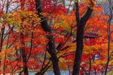 옥산자동차공업사주 | 새로운 남산 하늘숲길 - 풍경 사진방 - 옥수산장철학관 사주역학강의 새로운 남산 하늘숲길