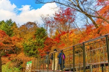 옥산자동차공업사주 | 새로운 남산 하늘숲길 - 풍경 사진방 - 옥수산장철학관 사주역학강의 새로운 남산 하늘숲길