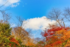 옥산자동차공업사주 | 새로운 남산 하늘숲길 - 풍경 사진방 - 옥수산장철학관 사주역학강의 새로운 남산 하늘숲길