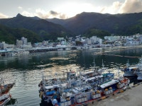 울릉도저동항구나들이 - ☞〓〓〓▶안 창 호 생 - 아코디언 유람선 폐리호 울릉도저동항구나들이