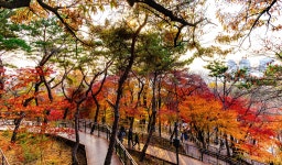 옥산자동차공업사주 | 새로운 남산 하늘숲길 - 풍경 사진방 - 옥수산장철학관 사주역학강의 새로운 남산 하늘숲길