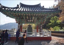 통영 벽방산 안정사.고성 장의사 사진(2021.11.7) - ◐─ 가족갤러리 - 도유의사진공간 통영 벽방산 안정사.고성 장의사 사진(2021.11.7)