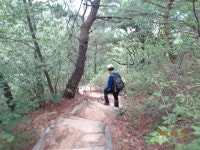 ＜1＞서대문독립공원-자락길입구-북카페쉼터-전망대-고은초교갈림길-숲속무대-무악정-안산정상(봉수대)-백암약수-한성과학교-독립문역... 