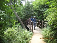 ＜1＞남산공원-남산둘레길-남산포토전망대-남산야외식물원-남산둘레길-동국대후문... 재경현석산악회 ＜1＞남산공원-남산둘레길... 