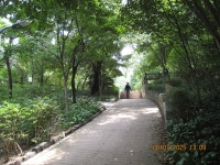 ＜1＞남산공원-남산둘레길-남산포토전망대-남산야외식물원-남산둘레길-동국대후문... 在京賢石山岳會 ＜1＞남산공원-남산둘레길... 