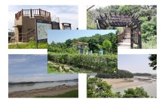 2021년 11월16일(화) 김포 평화누리길 비대면 걷기(1코스-역방향) - ◈ 평 일 걷 기ㆍㆍ공 지 - 발견이의 도보여행 2021년 11월16일(화) 김포... 