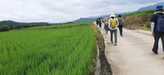 2022년 7월23일(토) 경기둘레길 숲길구간 14-15코스(포천) - 　 ┗▶후기(여행) - 발견이의 도보여행 2022년 7월23일(토) 경기둘레길... 