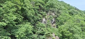 2025년 5월 31일(토) 경기둘레길 13코스(내산리 삼보쉼터-중 3리.심재) - 　 ┗▶후기(휴일) - 발견이의 도보여행 2025년 5월 31일(토)... 