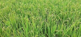 2022년 7월23일(토) 경기둘레길 숲길구간 14-15코스(포천) - 　 ┗▶후기(여행) - 발견이의 도보여행 2022년 7월23일(토) 경기둘레길... 