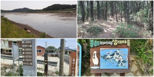 2026년 6월 27일(토) 강화나들길 13코스(볼음도 길) - ◈ 휴 일 걷... 지 - 발견이의 도보여행 2026년 6월 27일(토) 강화나들길 13코스(볼음도 길)