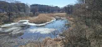 2026년 2월18일(수) 경기평화누리길 6코스(출판도시길) - 　 ┗▶후기(휴일) - 발견이의 도보여행 2026년 2월18일(수) 경기평화누리길 6코스... 