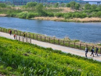 2025년 4월 24일(목) 여강길 4코스 5일장터길(신륵사부터 세종대왕릉까지) 후기 (리딩: 엘리사벳님) - 　 ┗▶후기(평일) - 발견이의 도보여행... 