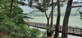 2022년 7월23일(토) 경기둘레길 숲길구간 14-15코스(포천) - 　 ┗▶후기(여행) - 발견이의 도보여행 2022년 7월23일(토) 경기둘레길... 