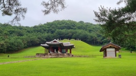 6.26. 숲속을 걸어요 동구릉 한바퀴 - 　 ┗▶후기(평일) - 발견이의 도보여행 6.26. 숲속을 걸어요 동구릉 한바퀴