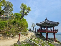 2025년 4월 24일(목) 여강길 4코스 5일장터길(신륵사부터 세종대왕릉까지) 후기 (리딩: 엘리사벳님) - 　 ┗▶후기(평일) - 발견이의 도보여행... 