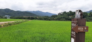 2022년 7월23일(토) 경기둘레길 숲길구간 14-15코스(포천) - 　 ┗▶후기(여행) - 발견이의 도보여행 2022년 7월23일(토) 경기둘레길... 