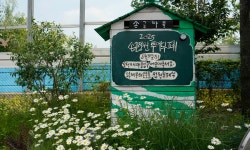 [목요도보] 번개 - 25년 5월 29일 (목) - 광교산 쉬엄쉬엄 걷기 - 　 ┗▶후기(평일) - 발견이의 도보여행 [목요도보] 번개 - 25년 5월 29일 (목)... 