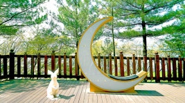 [화요도보] 2025년4월15일(화)양평 갈산공원 벚꽃터널 강변길... 도보여행 [화요도보] 2025년4월15일(화)양평 갈산공원 벚꽃터널 강변길