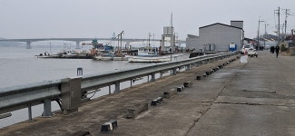 2025년 12월20일(토) 강화도 해안선 걷기 -1- 2(광성보- 초지진) - 　 ┗▶후기(휴일) - 발견이의 도보여행 2025년 12월20일(토) 강화도... 