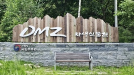 2025년 10월 25일(토) Dmz 평화의 길 29차 이어걷기(양구 27 코스) - ◈ 장거리이어걷기공 지 - 발견이의 도보여행 2025년 10월 25일(토)... 