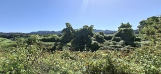 2025년 10월 8일(수) 경기평화 10코스(dmz 11)-역 방향 - 　 ┗▶후기(휴일) - 발견이의 도보여행 2025년 10월 8일(수) 경기평화 10코스... 