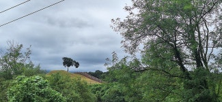 2025년 8월 9일(토) DMZ 평화의길 24차 이어걷기 (연천 12코스) - ◈ 장거리이어걷기공 지 - 발견이의 도보여행 2025년 8월 9일(토) DMZ... 