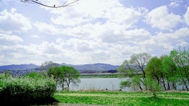 [화요도보] 2025년4월15일(화)양평 갈산공원 벚꽃터널 강변길 - 　 ┗▶후기(평일) - 발견이의 도보여행 [화요도보] 2025년4월15일(화)양평... 