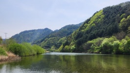 2025년 9월 27일(토) Dmz 평화의 길 27차 이어걷기(양구 25 코스) - ◈ 장거리이어걷기공 지 - 발견이의 도보여행 2025년 9월 27일(토) Dmz... 