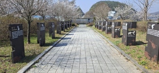 2026년 4월 11일(토) 강화 해안선 걷기 8차(평화전망대-문수산성 남문/dmz 1코스) - 　 ┗▶후기(휴일) - 발견이의 도보여행 2026년 4월 11일... 
