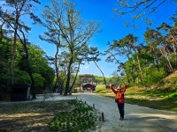 2025년 4월 24일(목) 여강길 4코스 5일장터길(신륵사부터 세종대왕릉까지) 후기 (리딩: 엘리사벳님) - 　 ┗▶후기(평일) - 발견이의 도보여행... 