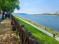 2025년 4월 24일(목) 여강길 4코스 5일장터길(신륵사부터 세종대왕릉까지) 후기 (리딩: 엘리사벳님) - 　 ┗▶후기(평일) - 발견이의 도보여행... 