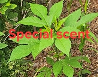 For delay dementia 924 - 자유게시판 - 둔포중학교15회동창모임 For delay dementia 924