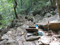 ＜제1,377차＞부산 뿌리산악회 산행 가이드 공지--경남 함양군 마천... 뿌리산악회 산행 가이드 공지--경남 함양군 마천면. 삼정산(1,265m)
