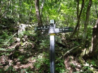 ＜제1,377차＞부산 뿌리산악회 산행 가이드 공지--경남 함양군 마천... 뿌리산악회 산행 가이드 공지--경남 함양군 마천면. 삼정산(1,265m)