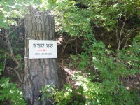 ＜제1,377차＞부산 뿌리산악회 산행 가이드 공지--경남 함양군 마천... 뿌리산악회 산행 가이드 공지--경남 함양군 마천면. 삼정산(1,265m)