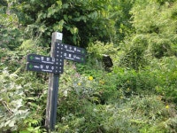 ＜제1,377차＞부산 뿌리산악회 산행 가이드 공지--경남 함양군 마천... 뿌리산악회 산행 가이드 공지--경남 함양군 마천면. 삼정산(1,265m)