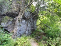 ＜제1,377차＞부산 뿌리산악회 산행 가이드 공지--경남 함양군 마천... 뿌리산악회 산행 가이드 공지--경남 함양군 마천면. 삼정산(1,265m)