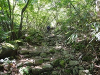 ＜제1,377차＞부산 뿌리산악회 산행 가이드 공지--경남 함양군 마천... 뿌리산악회 산행 가이드 공지--경남 함양군 마천면. 삼정산(1,265m)