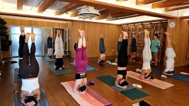 2025년 3월 프라이머리워크샵 2주차 - 카페 앨범 - YOGA MALA 요가 꽃이 되다 2025년 3월 프라이머리워크샵 2주차