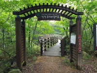 2025년8월17일셋째주일요일 정기산행안내 - 초원 산행안내 및 신청 - 여수초원산악회 2025년8월17일셋째주일요일 정기산행안내